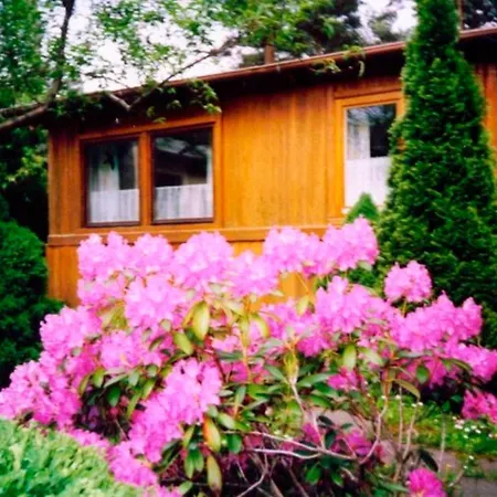 Holiday home In Mueritz Waren (Mueritz)